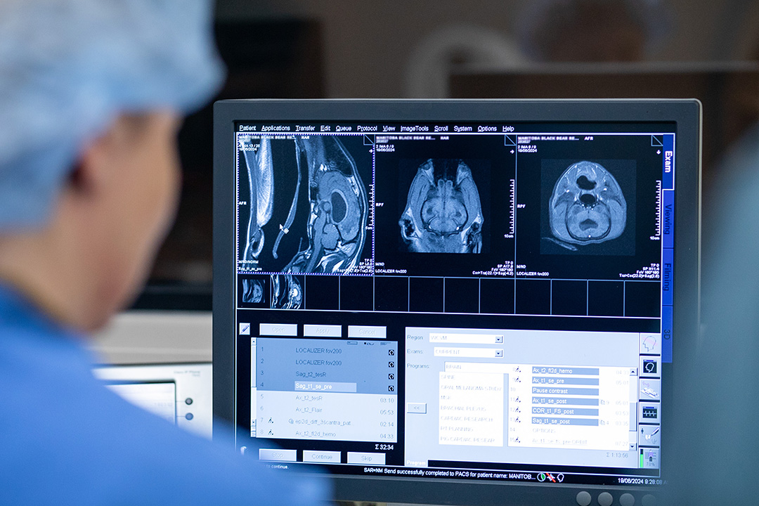 Technician reviews MRI images on a screen