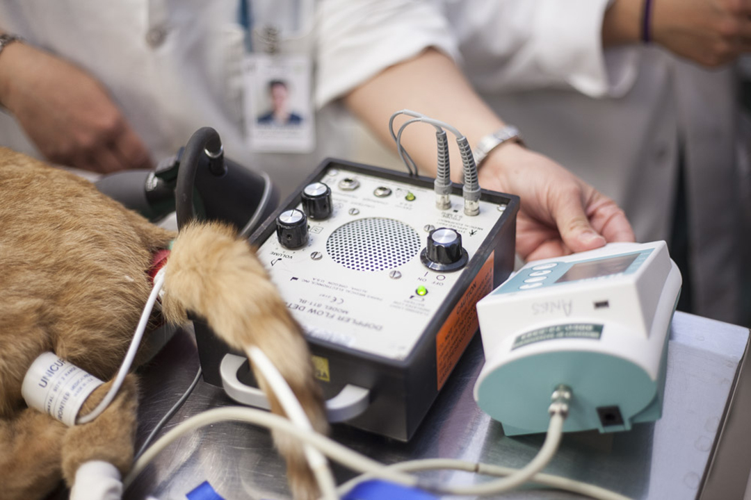 closeup of doppler flow meter in anesthesia area