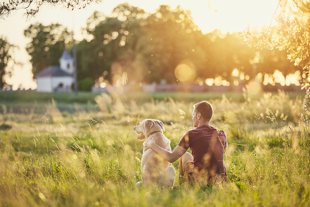 Man sitting beside his dog in the sunlight.