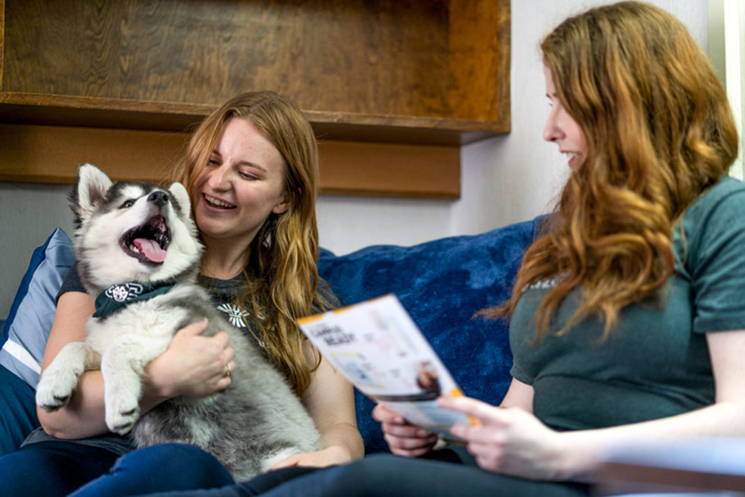 Student holding a young husky pup alongside another student.