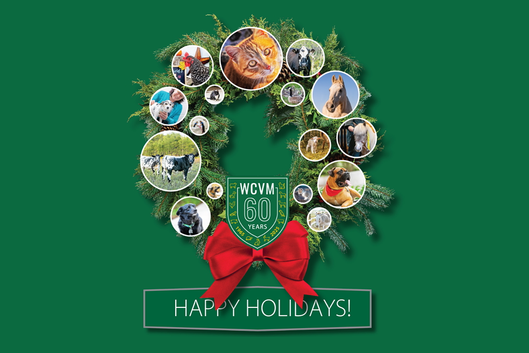 Holiday wreath with Happy Holidays 