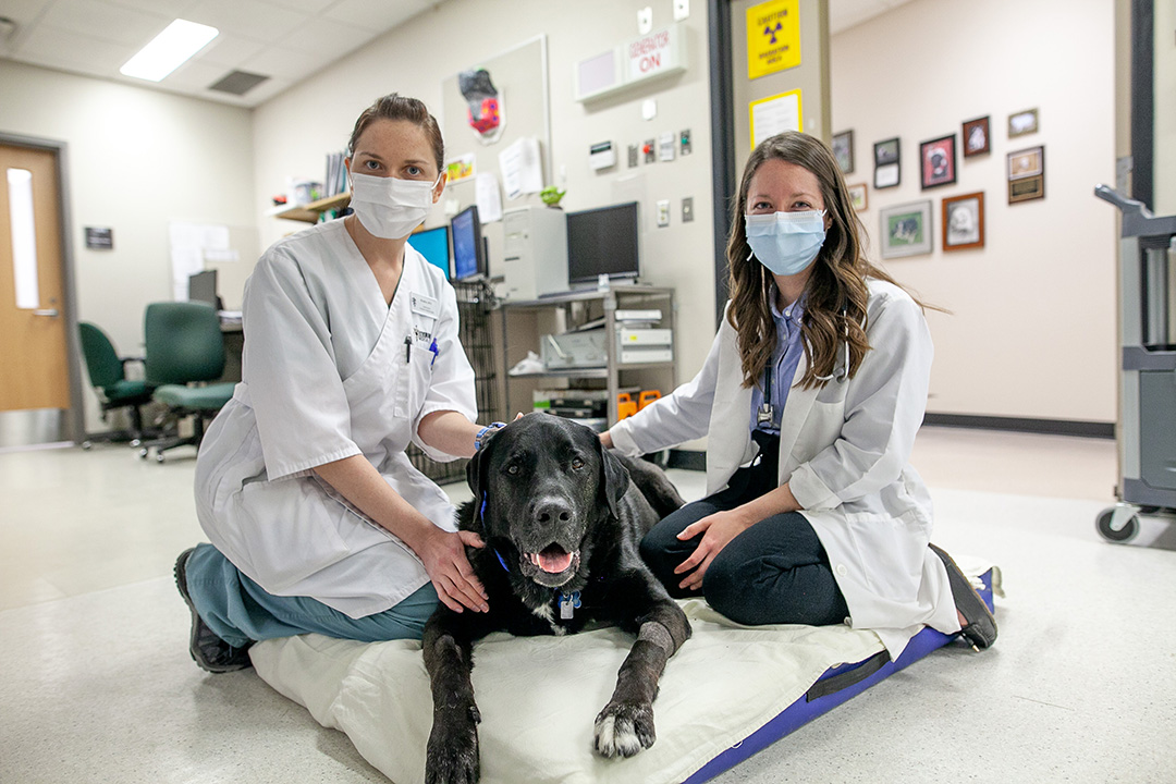 October 2023 - Veterinary Medical Centre - Western College of Veterinary  Medicine | University of Saskatchewan