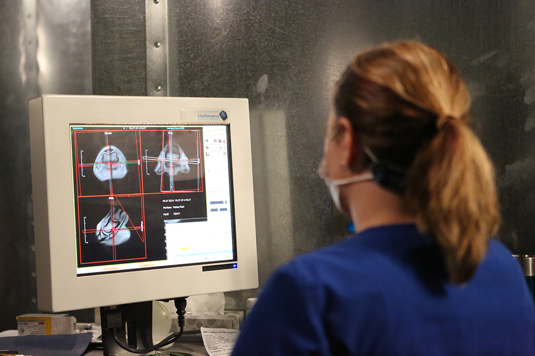 Technologist Stacey Oliynyk, RTR, RTMR, conducts an MRI exam on an equine patient's right lower limb. 