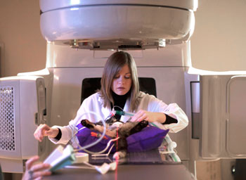 How long does radiation treatment take?